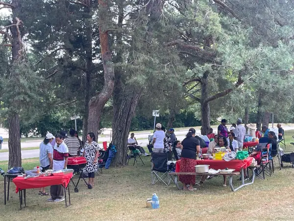 Picnic tables set up under trees in a park