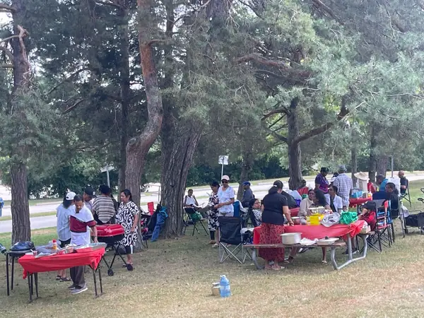 Picnic area with tables under tall trees