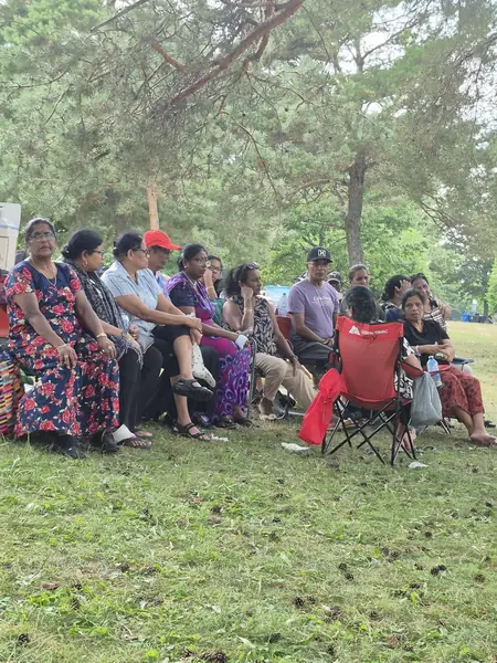 People seated together under trees