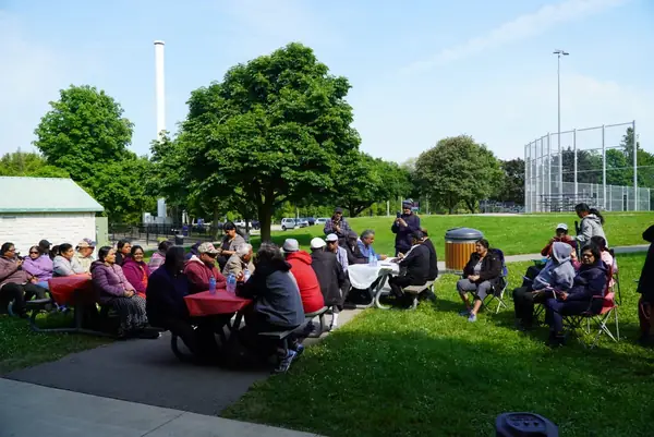 People seated in a park under trees